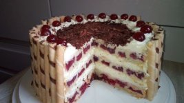tort_wi_niowy1.jpg tort_wi_niowy1.jpg