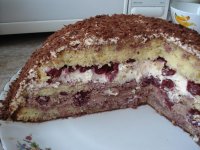 tort2.JPG tort2.JPG