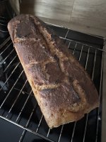 IMG_8203.jpeg