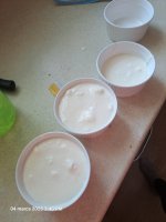 20250304_154008.jpg