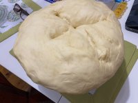 IMG_1602.jpeg