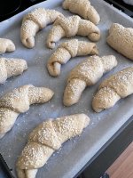 IMG_8895.jpeg