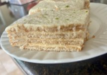 IMG_0309.jpeg