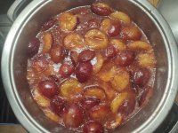 IMG_20250918_140800.jpg