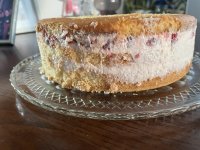 IMG_0087.jpeg