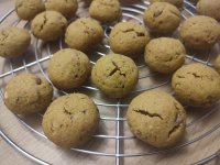 IMG_20251108_151807.jpg IMG_20251108_151807.jpg