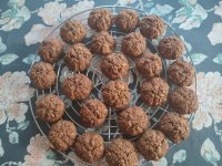 IMG_20251210_133747.jpg IMG_20251210_133747.jpg