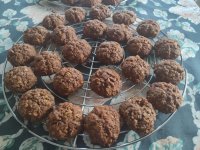 IMG_20251210_133703.jpg IMG_20251210_133703.jpg