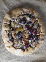 IMG_20260829_120452.jpg