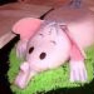 Mikula