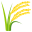 Sheaf of rice :ear_of_rice: 🌾