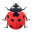 🐞